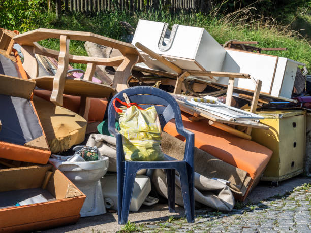 Best Furniture Removal Near Me  in Vienna, GA