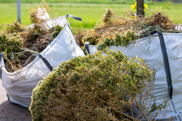 Best Electronics Removal Services  in Vienna, GA